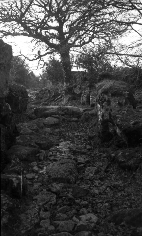 An image from the Dartmoor Trust Archive