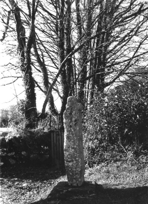 Manaton Churchyard Cross