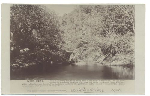 Weir Head, Ivybridge