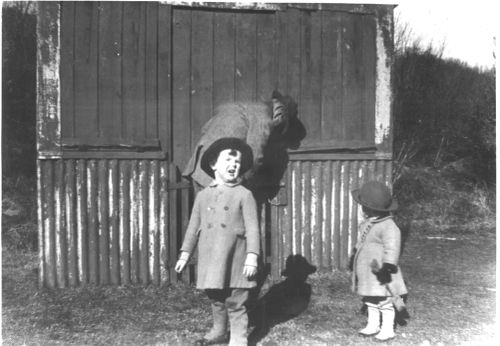 Mrs Wheeler, Susan and Stewart at the fishing hut, Leighon ponds