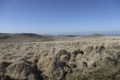 EAST MILL TOR FROM STEEPERTON TOR