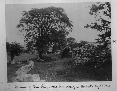 The ruins of Brim Park near Dunnabridge & Sherberton. Aug 23 1892.