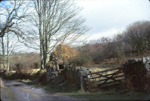 Ash House, West Combe