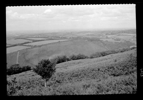 Fire Damage at Ball Hill