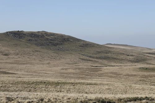 EAST MILL TOR