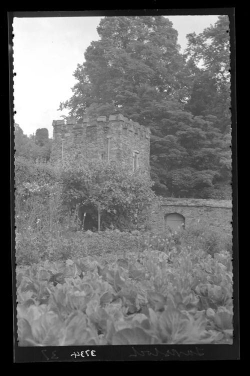 Vicarage garden ,Tavistock Abbey