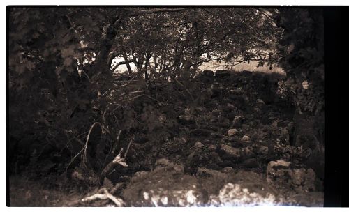 Ruins of a blowing house at Week Ford