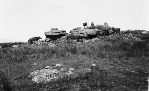 An image from the Dartmoor Trust Archive