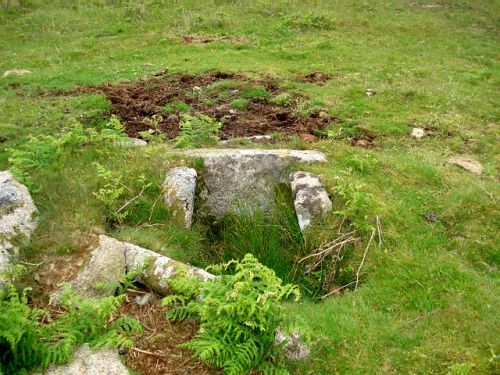 An image from the Dartmoor Trust Archive