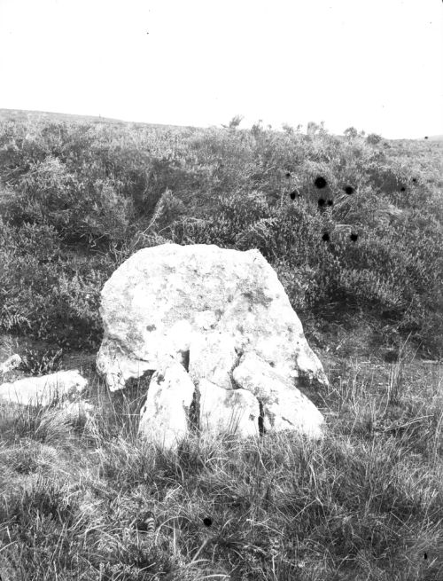 An image from the Dartmoor Trust Archive