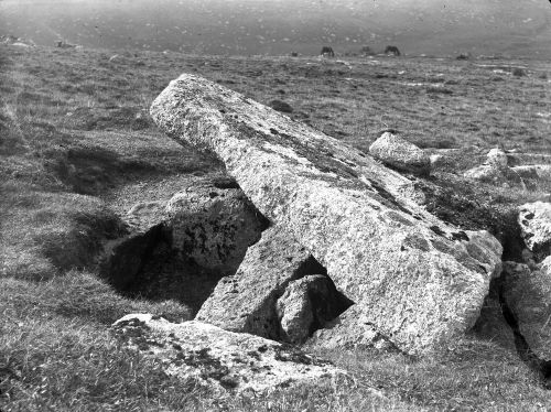 An image from the Dartmoor Trust Archive