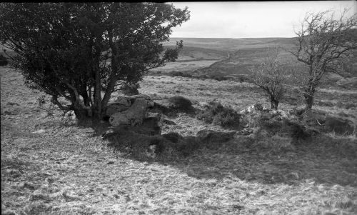 An image from the Dartmoor Trust Archive