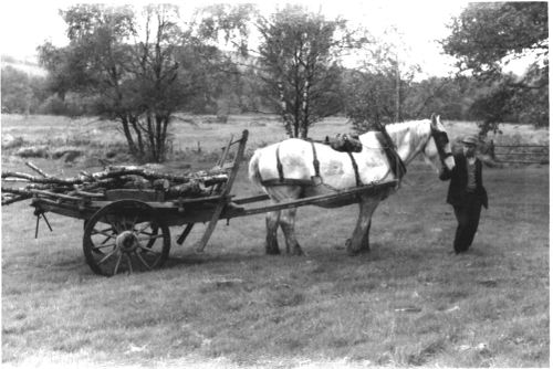 Brian Warne carting firewood at Southcott