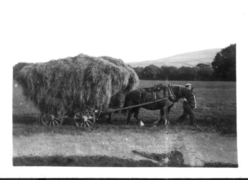 Hay gathering at Latchel