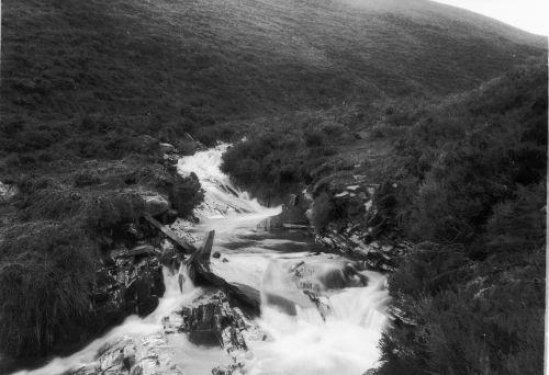 An image from the Dartmoor Trust Archive