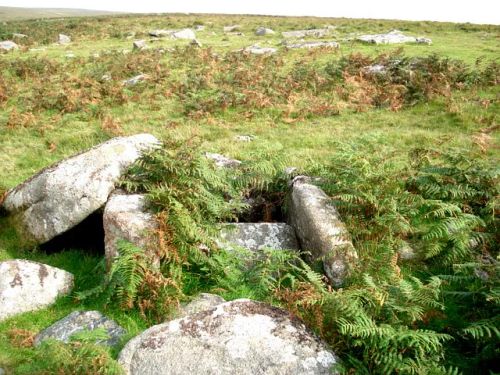 An image from the Dartmoor Trust Archive