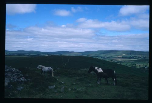 An image from the Dartmoor Trust Archive