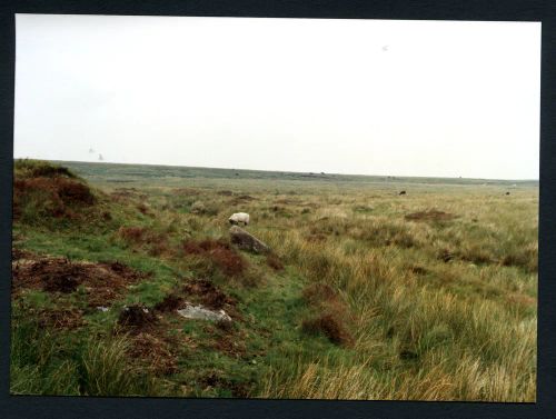 24/41 Aune Head Mires 26/7/1991