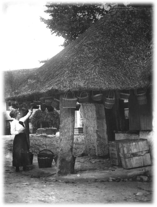 Thatched building in Lustleigh