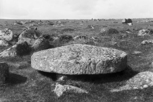 An image from the Dartmoor Trust Archive