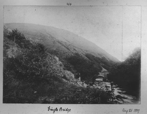 Fingle Bridge