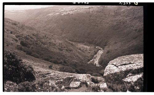 The River Dart from Meltor