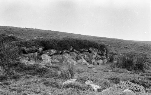 An image from the Dartmoor Trust Archive