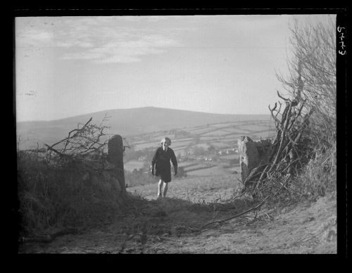 Shirley Taylor on Brent Hill