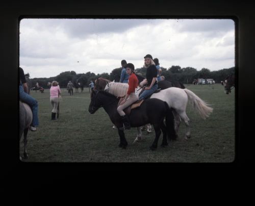 Belstone Gymkhana