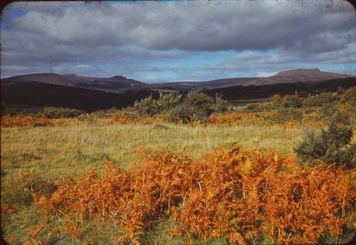 From Wigford Down