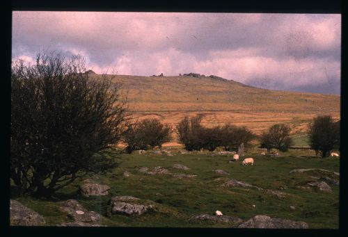 An image from the Dartmoor Trust Archive