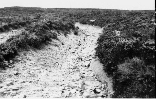 An image from the Dartmoor Trust Archive