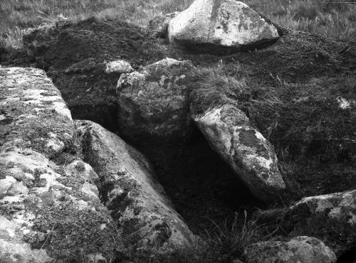 An image from the Dartmoor Trust Archive