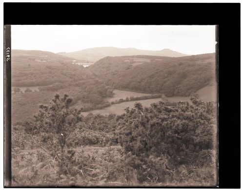 Burrator Reservoir from Ringmoor Down