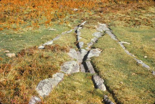 An image from the Dartmoor Trust Archive