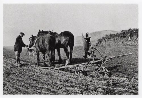 An image from the Dartmoor Trust Archive