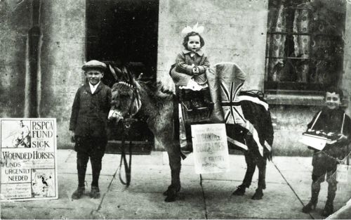 1WW DAWLISH BEACH DONKEY USED TO SUPPORT THE RSPCA FUND FOR SICK AND WOUNDED HORSES