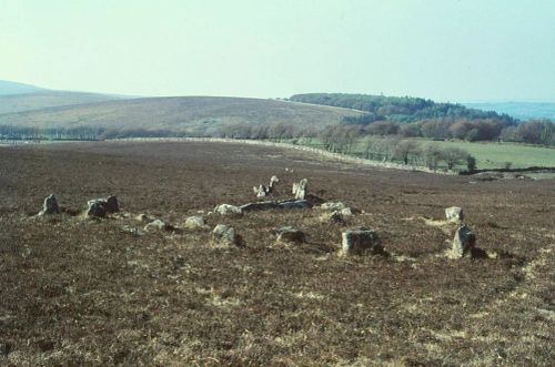 An image from the Dartmoor Trust Archive