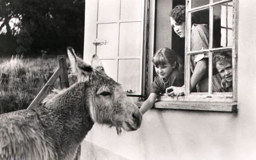 An image from the Dartmoor Trust Archive