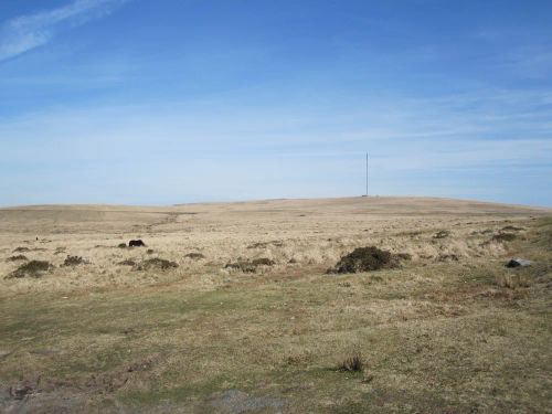 Walkhampton Common