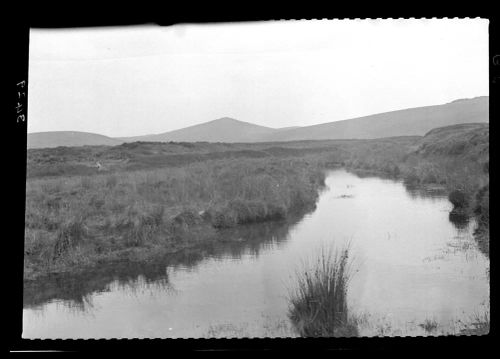 The River Taw at Steeperton