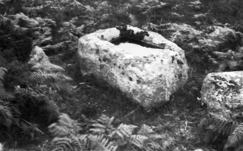 An image from the Dartmoor Trust Archive