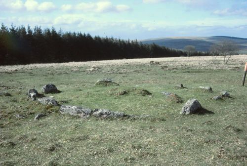 An image from the Dartmoor Trust Archive