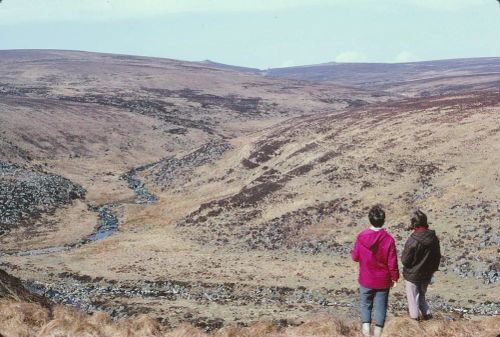 An image from the Dartmoor Trust Archive