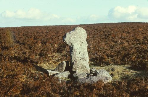 An image from the Dartmoor Trust Archive