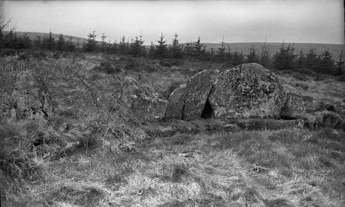 An image from the Dartmoor Trust Archive