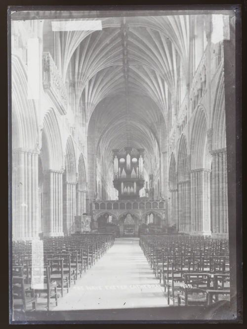 Cathedral: Nave, Exeter