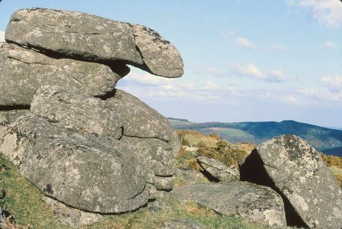 An image from the Dartmoor Trust Archive