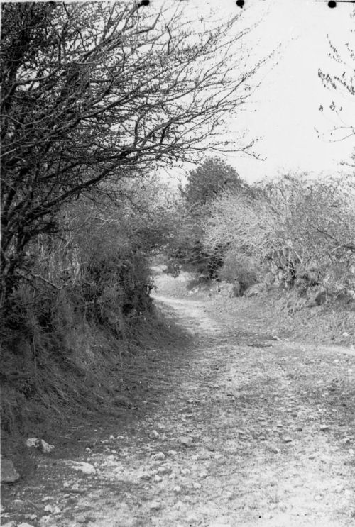 An image from the Dartmoor Trust Archive