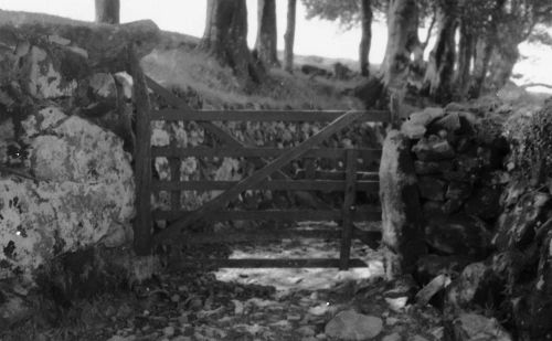 An image from the Dartmoor Trust Archive